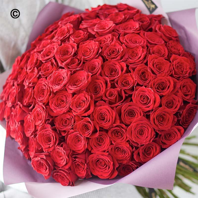 100 Large-headed Red Rose Valentine's Grand Gesture