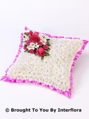 Classic White Cushion