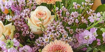 Spring Flowers